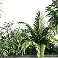 Vertical Garden Decor With Wooden Frame And Lush Green Plant Layers