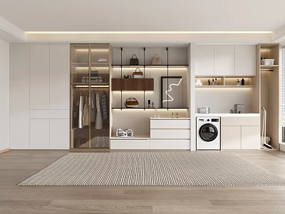Modern Walk in Closet Interior with Glass Doors Storage Cabinets Hanging Area and Washing Machine 3d model