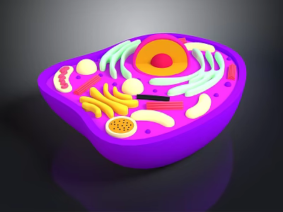Purple Cell Model Showing Organelles And Hair Like Structures With Nucleus Mitochondria 3d model