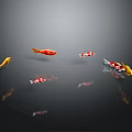 Colorful Koi Fish Swimming In Dark Water With Various Colors And Reflections