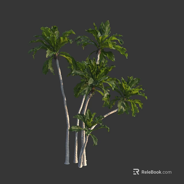 Lush Tropical Arbor With Multiple Trunks And Large Green Leaves 3d model 