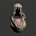 Crocodile Alligator Nile Crocodile carnivore reptile cold-blooded animal reptile reptile 3d model