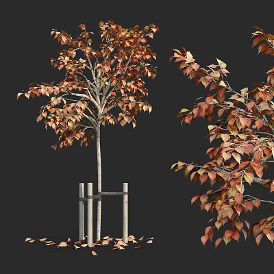 Vibrant Autumn Arbor with Orange Red Leaves and White Metal Stand Support 3d model