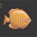 Yellow Striped Fish With Red Eyes Orange Fins And Tail On Gray Background