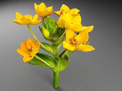 Blooming Yellow Flowers With Green Stems And Fresh Green Leaves Plant 3d model