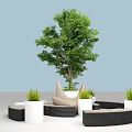 Outdoor Curved Public Chairs Design With Central Tree And Potted Plants