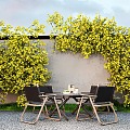 Landscape Green Plant Climbing Vine Vine Green Plant Wall 3d model