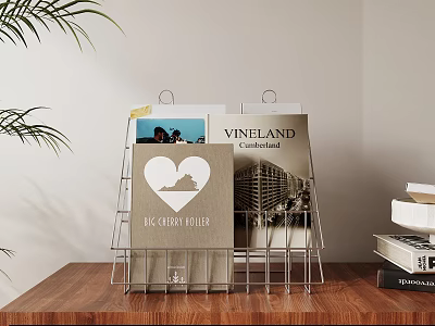 Magazines On Metal Rack With The Great Divide Vineland Commercial And Heart Design 3d model