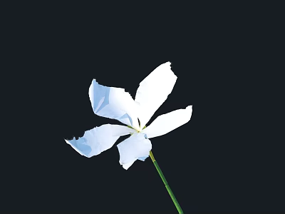 Beautiful White Flower with Delicate Petals and Green Stem Against Black Background 3d model
