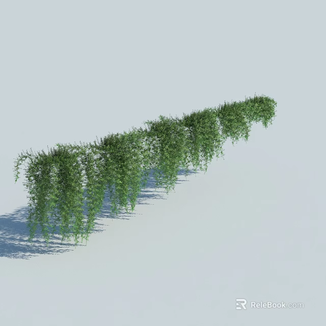 Lush Green Hanging Vines With Long Trailing Foliage As Decorative Plants 3d model 