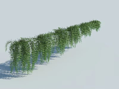 Lush Green Hanging Vines With Long Trailing Foliage As Decorative Plants 3d model