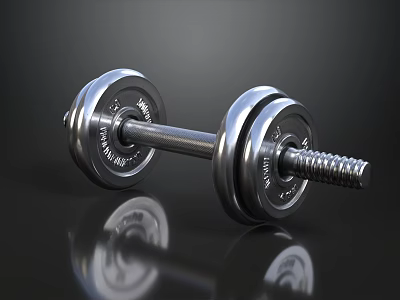 Silver 5 KG WINNING Dumbbell With Reflective Surface On Black Background 3d model