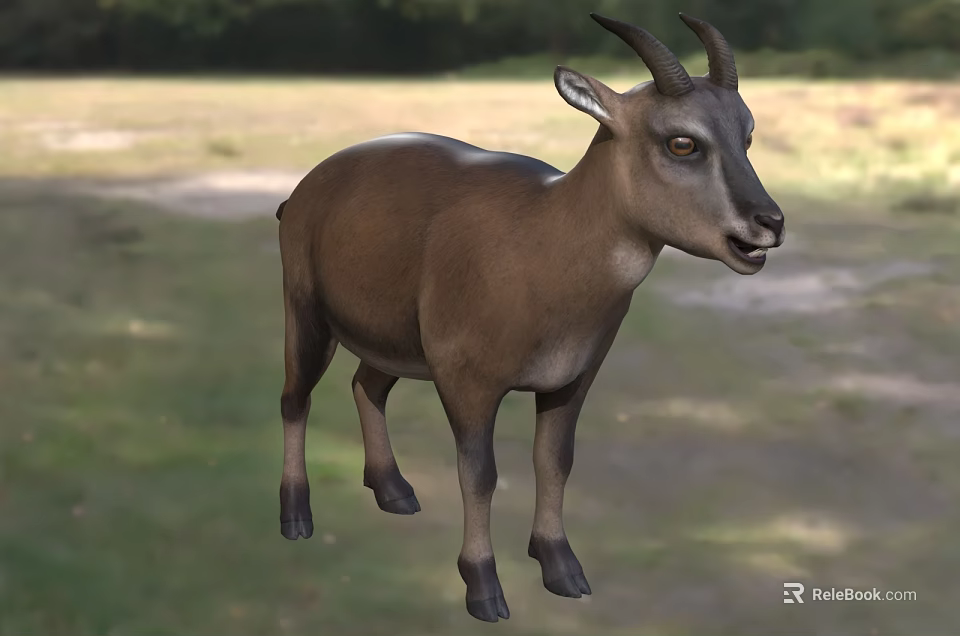 Wild Horned Reptile Standing In Natural Grassland Habitat With Green Vegetation 3d model 