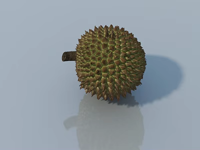 Green Spiky Bonsai Plant With Brown Stem On Light Blue Reflective Surface 3d model