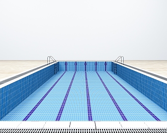 Modern Swimming Pool 3d model