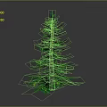 Tall Green Pine Tree With Brown Trunk And Lush Green Needles Isolated On Dark Background