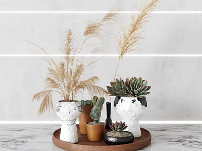 Elegant Decorative Ornament Set With White Vases Dried Pampas Grass And Succulents On Wooden Tray 3d model