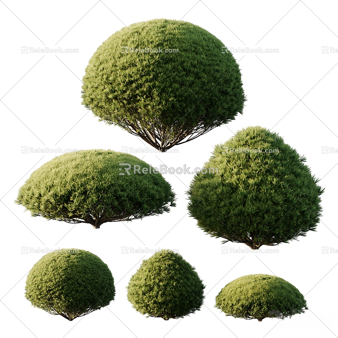 Modern shrubs 3d model