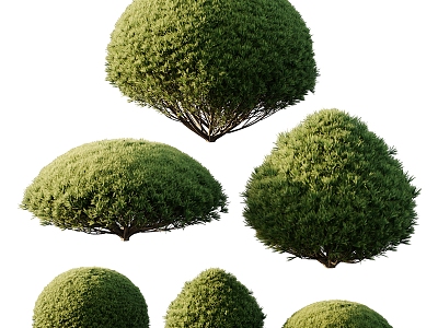 Modern shrubs 3d model