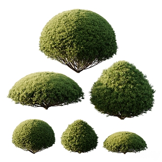 Modern shrubs 3d model