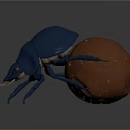 Vibrant Blue Beetle Carrying Orange Ball With Detailed Texture On Gray Background