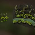 Lush Natural Landscape With Tall Pine Trees Green Yellow Foliage Mountain And Calm Water