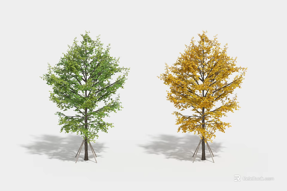 Two Arbor Trees With Green And Yellow Foliage And Support Stakes On White Background 3d model 