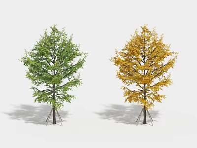 Two Arbor Trees With Green And Yellow Foliage And Support Stakes On White Background 3d model