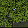 Modern Industrial Factory Building With Surrounding Greenery Parking Lot And Trees