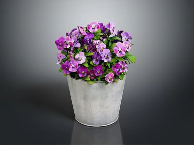 Vibrant Purple And Pink Flowers In Silver Metal Bucket With Green Leaves On Dark Background 3d model