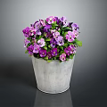 Vibrant Purple And Pink Flowers In Silver Metal Bucket With Green Leaves On Dark Background