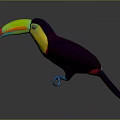 Colorful Toucan Bird With Vibrant Green Yellow Red Beak Black Body And Blue Claws