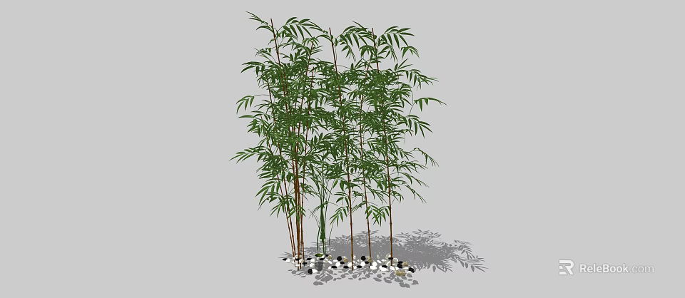 Lush Green Bamboo Plants With Decorative Stones In Natural Arrangement 3d model 