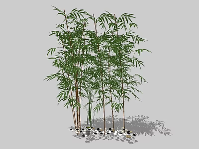 Lush Green Bamboo Plants With Decorative Stones In Natural Arrangement 3d model