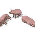 Three Pink Reptiles Crawling On Dry Cracked Earth Surface Ground