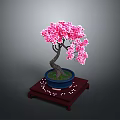 Pink Flowering Bonsai Tree in Blue Pot on Red Tray With Small White Decorations