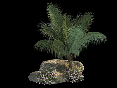Purple Flowering Shrub With Palm Tree And Rocks In Garden Setting 3d model
