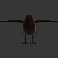 Realistic 3D Bird Model With Brown Feathered Wings Red Chest White Belly And Open Wings