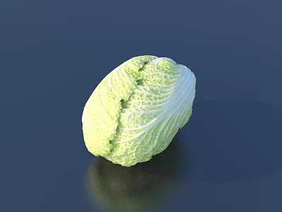 Fresh Green White Cabbage with Crisp Leaves on Dark Background 3d model