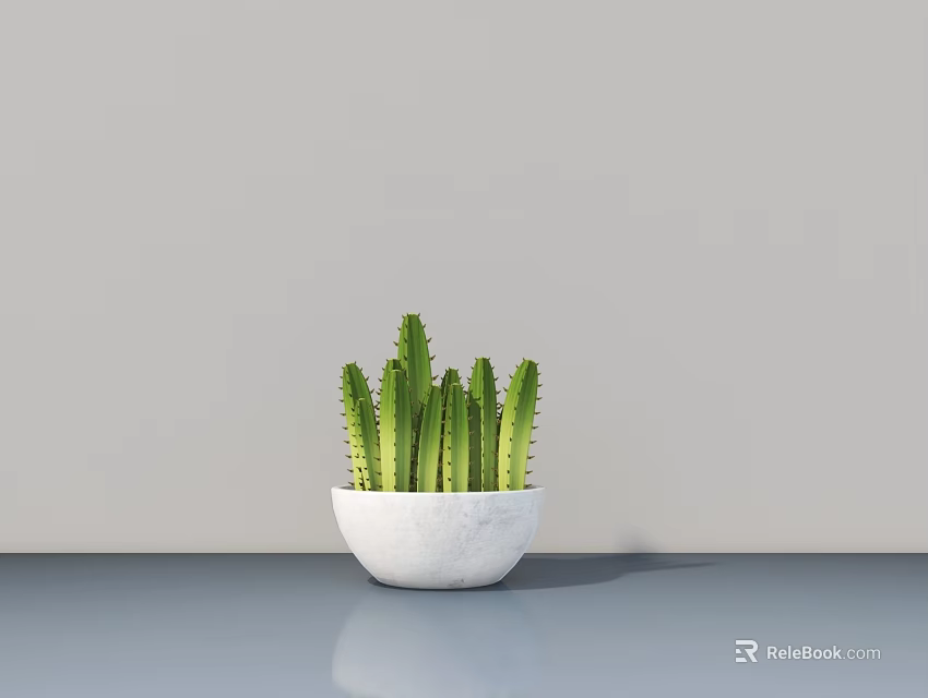 Cactus Bonsai Plant in White Pot On Gray Table With Light Gray Wall Background 3d model 
