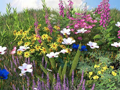 Vibrant Colorful Flowers In Natural Meadow With Green Grass And Sunlight 3d model