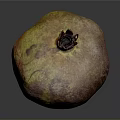 Ripe Pomegranate With Vibrant Red Yellow Textured Skin And Distinctive Crown Top On Dark Background