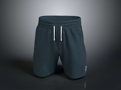 Sports Shorts Sportswear Shorts Clothes Clothing 3d model