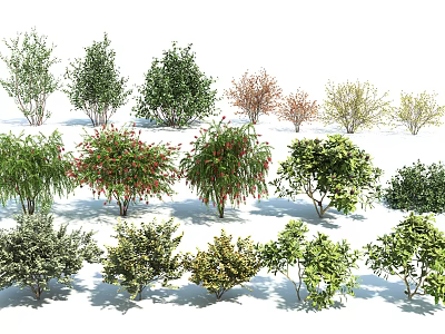 Multiple Shrubs Varieties with Green Red and Brown Foliage for Landscaping 3d model