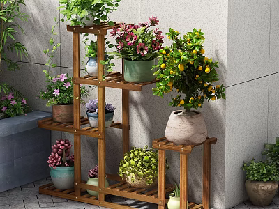 Multi tiered Wooden Plant Stand With Various Potted Flowers And Green Plants Outdoors 3d model