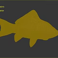 Golden Fish With Detailed Scaled Texture Shiny Metallic Decorative Sculpture On Dark Background