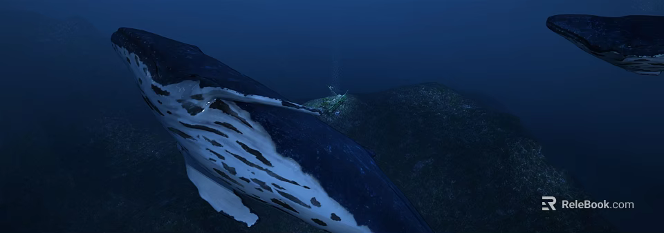 Whale With White Spots In Deep Blue Ocean Featuring Scuba Diver And Underwater Terrain 3d model 