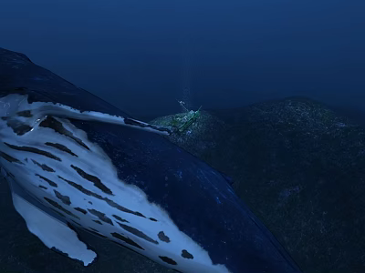 Whale With White Spots In Deep Blue Ocean Featuring Scuba Diver And Underwater Terrain 3d model