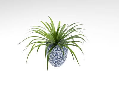 Decorative Bonsai Potted Plant with Long Green Leaves in Blue and White Patterned Pot 3d model