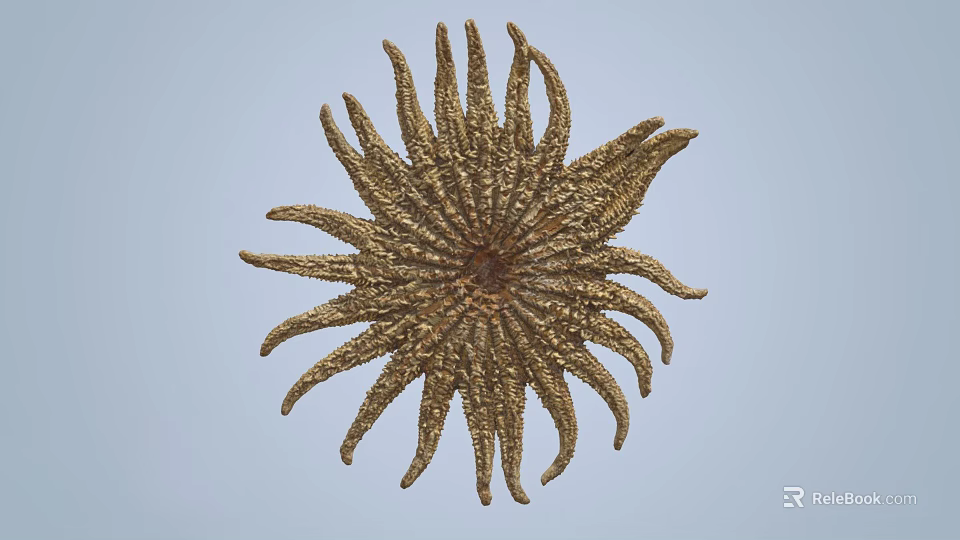 Golden Radiant Wall Decor With Textured Starburst Design And Hanging Ornament 3d model 